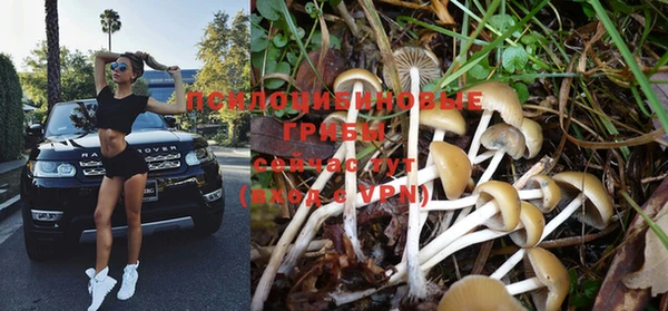 PSILOCYBIN Алексин