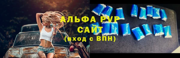 винт Абаза