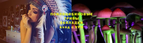 PSILOCYBIN Алексин