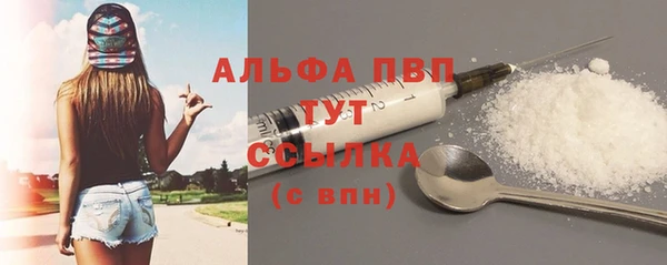 винт Абаза
