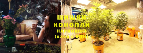PSILOCYBIN Алексин