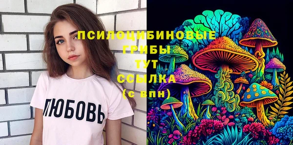 винт Абаза