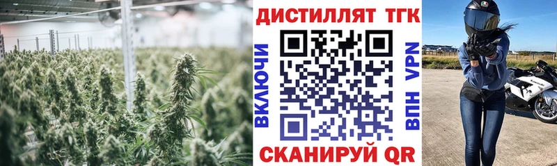 купить закладку  Заволжье  Дистиллят ТГК вейп 