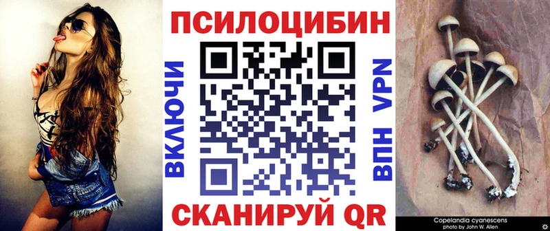 KRAKEN вход  shop состав  Галлюциногенные грибы ЛСД  Заволжье 