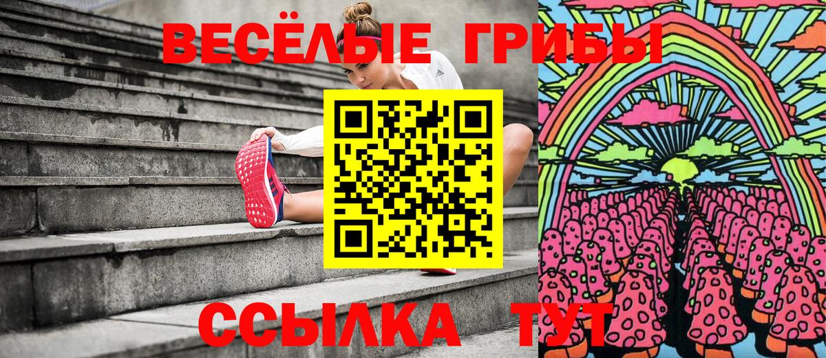 Псилоцибиновые грибы GOLDEN TEACHER  Вход с VPN  Псилоцибиновые грибы Psilocybe  Заволжье 